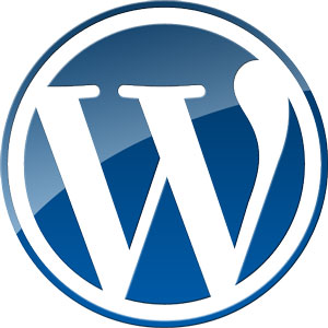 wordpress training for clients
